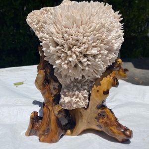 LARGE over 6LBS ❤️ white calcite